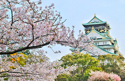 京都奈良一日游